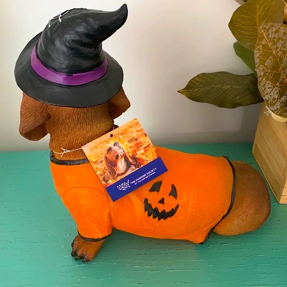 Halloween Dachshund Doxie Weiner Dog in Pumpkin Shirt with a Witch Hat - Picture 3 of 3
